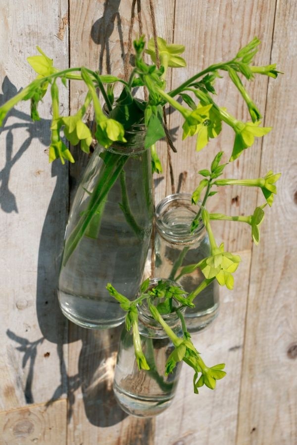 Bouteille de lait en verre, 250mL 140x60mm - 24 pcs