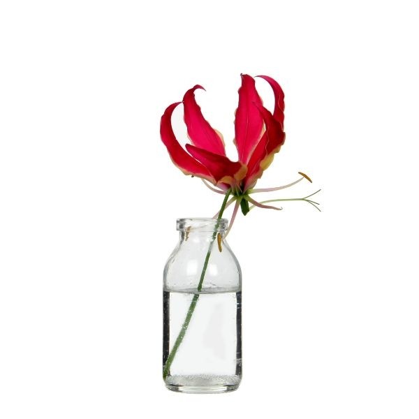 Glass Bottle 100ml 10.5cm tall Ø 5cm (tray with 32 pcs)