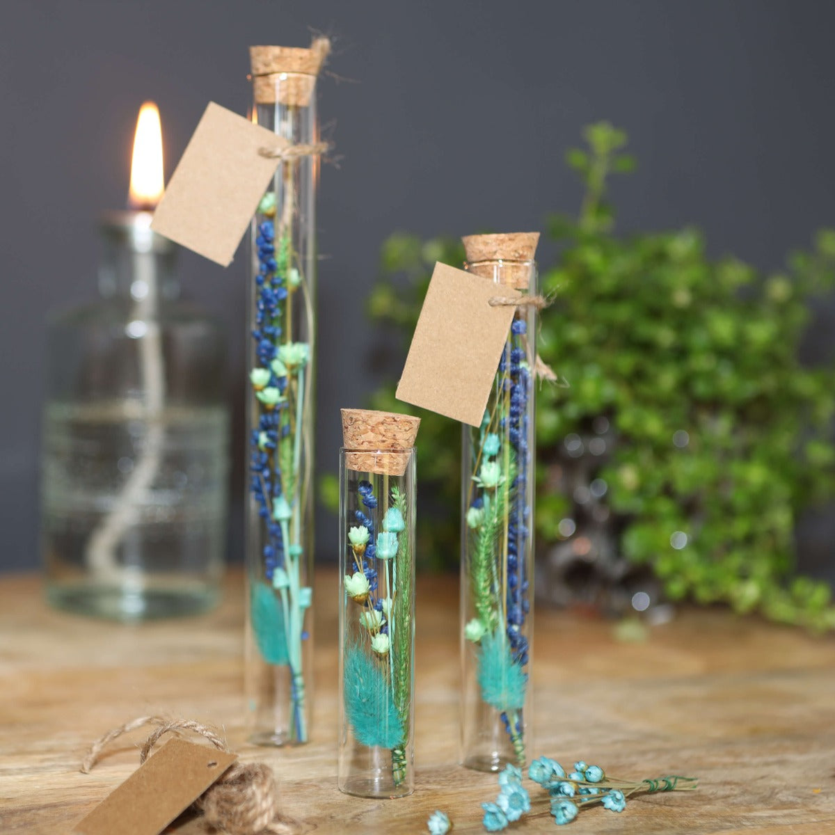 Tubes en verre Ø2 cm et 19 cm de haut - 12 pièces.