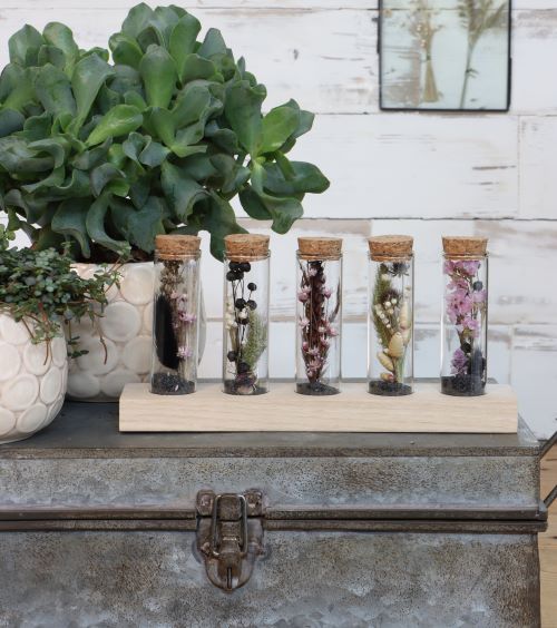 Glass tubes Ø3cm 5 tubes on wooden board - Packlinq