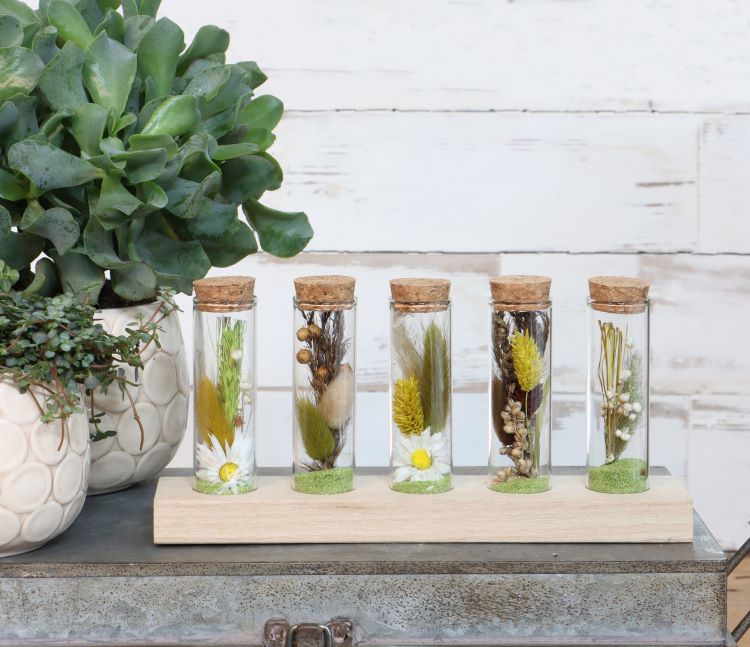 Glass tubes Ø3cm 5 tubes on wooden board - Packlinq