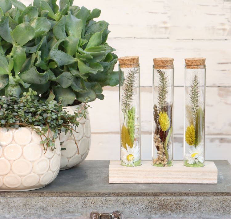 Glass tubes Ø3cm 3 tubes on wooden board - Packlinq