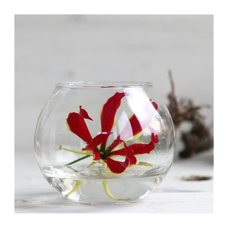 Pot boule en verre Ø 10 cm, H. 8 cm - 6 pièces