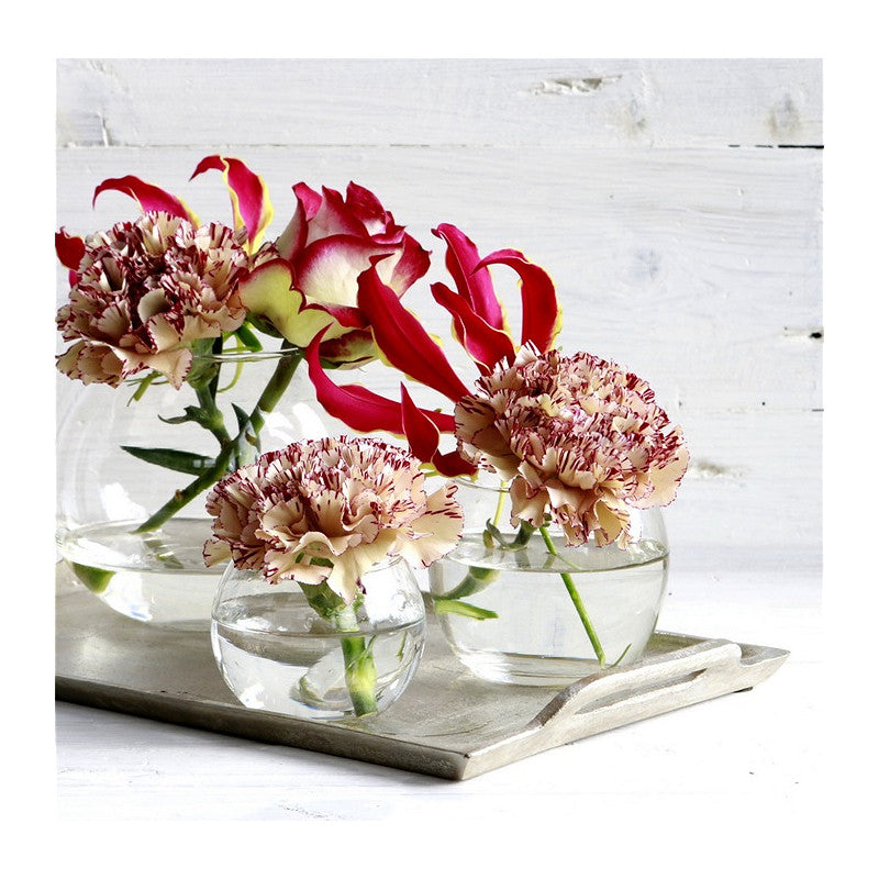 Pot boule en verre Ø 12 cm, H. 10 cm - 6 pièces