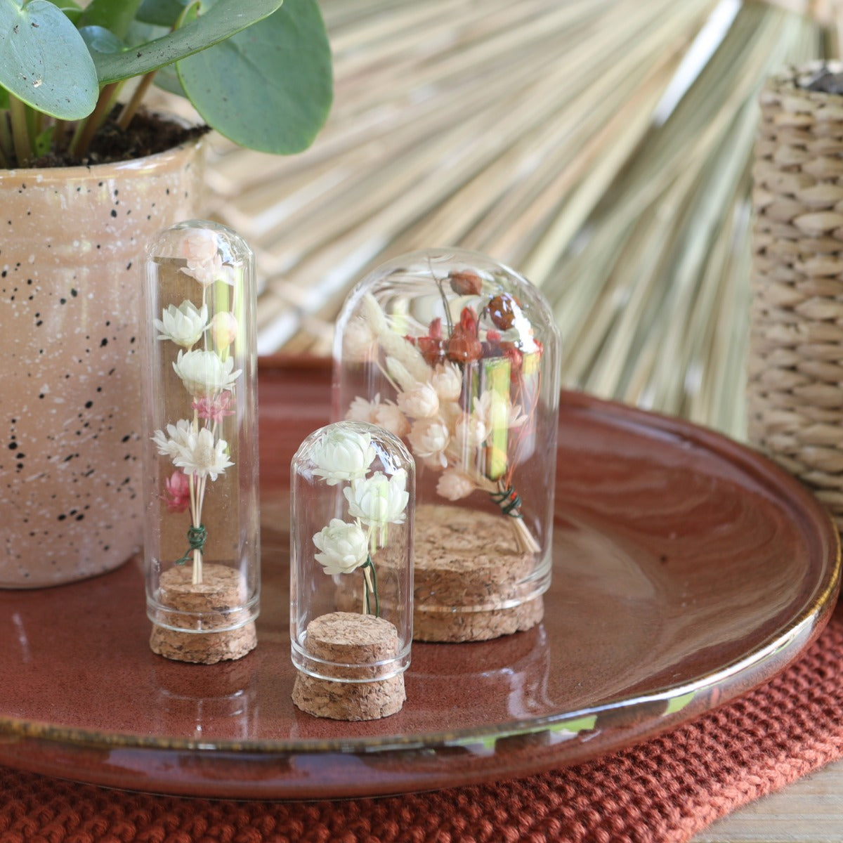 Mini dômes en verre Ø2cm et 4cm de haut avec bouchon en liège - 12 pièces