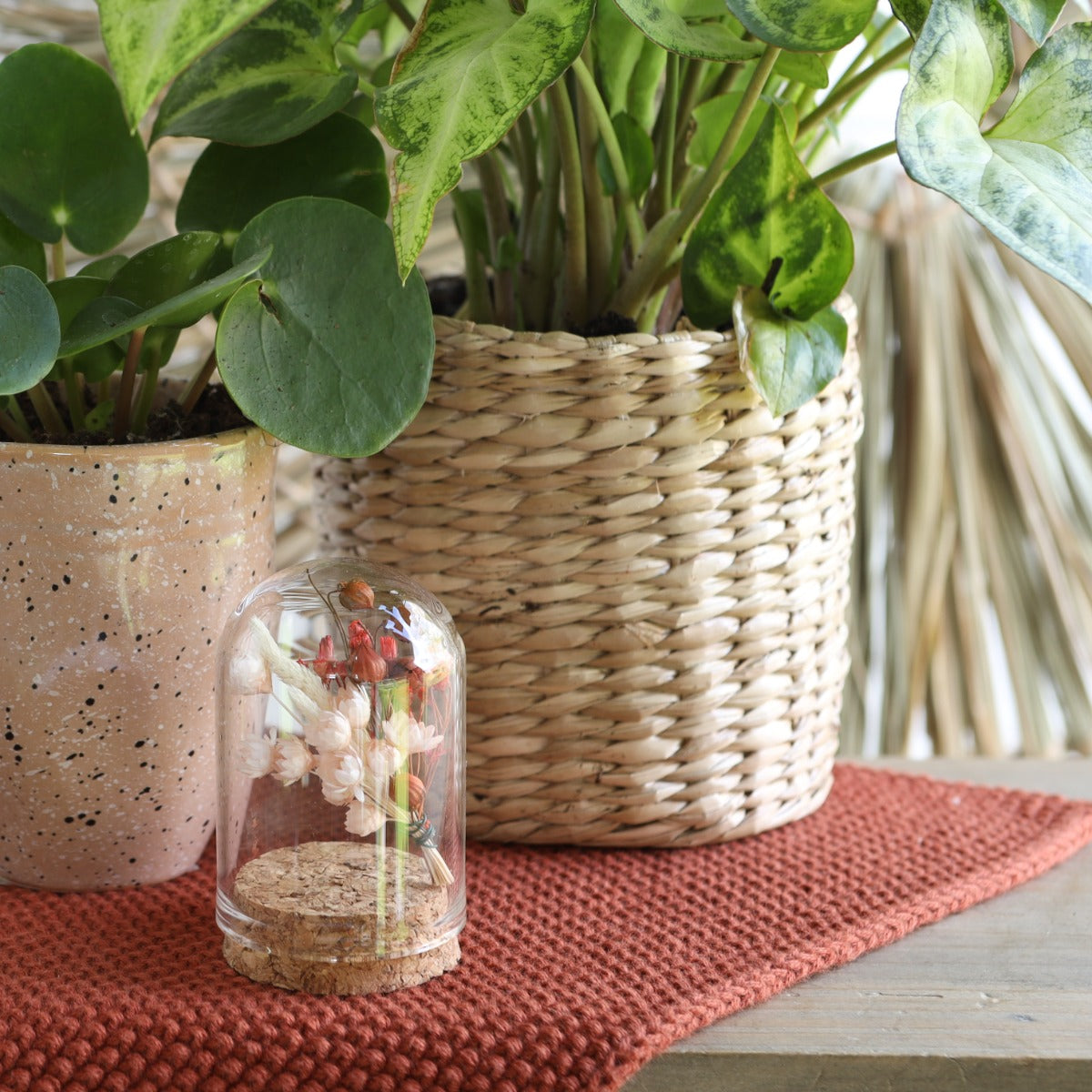 Glass mini stolp Ø4cm and 6cm high with cork - Packlinq