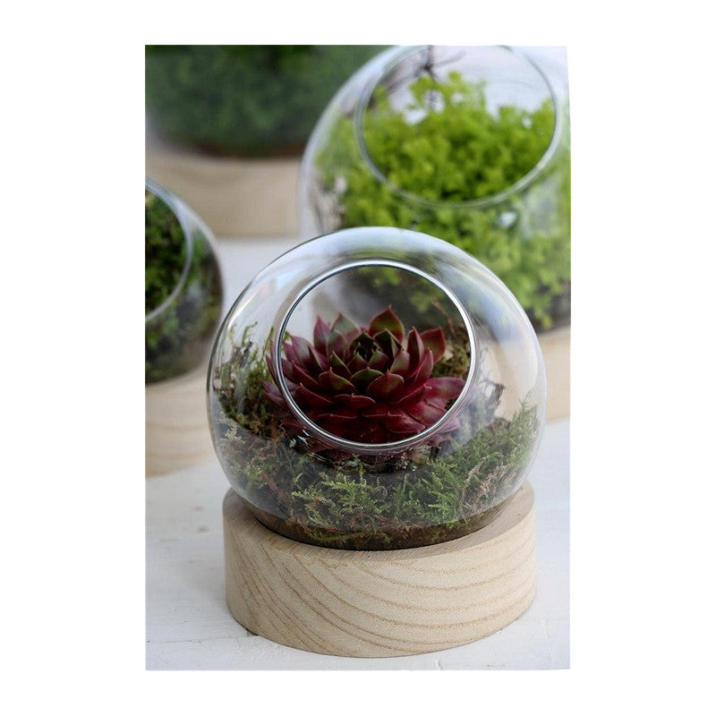 Vase boule en verre avec base en bois Ø 13 cm, H. 14 cm - 1 pièce