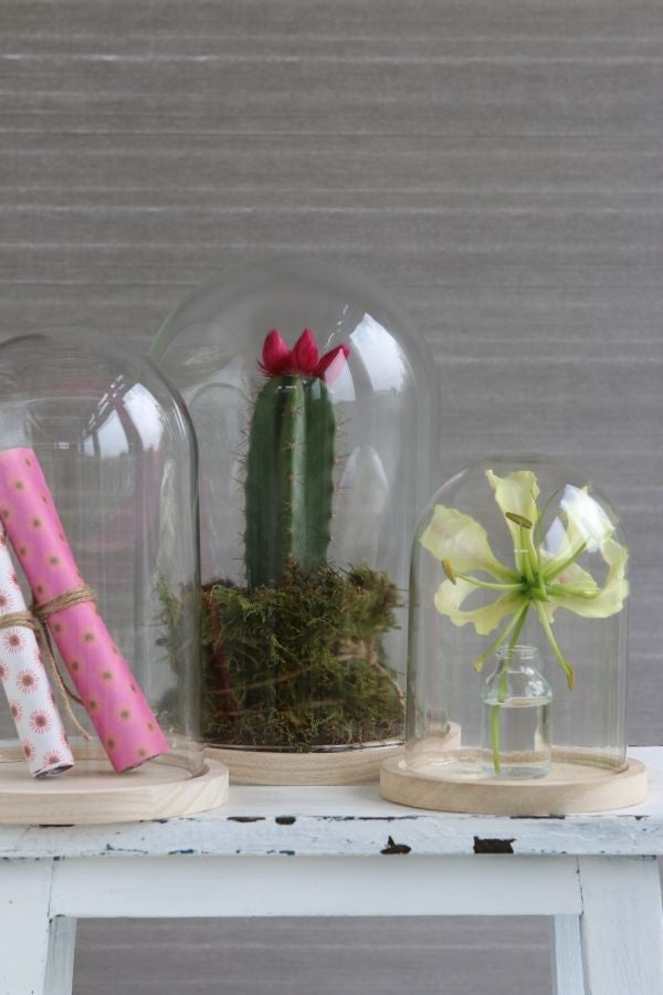 Dôme en verre avec base en Bois,140x210mm - 1 pc