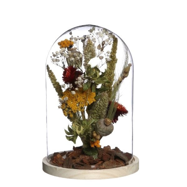 Dôme en verre avec base en Bois,170x250mm - 1 pc