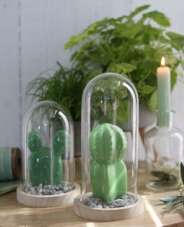 Dôme en verre avec base en Bois,100x150mm - 1 pc