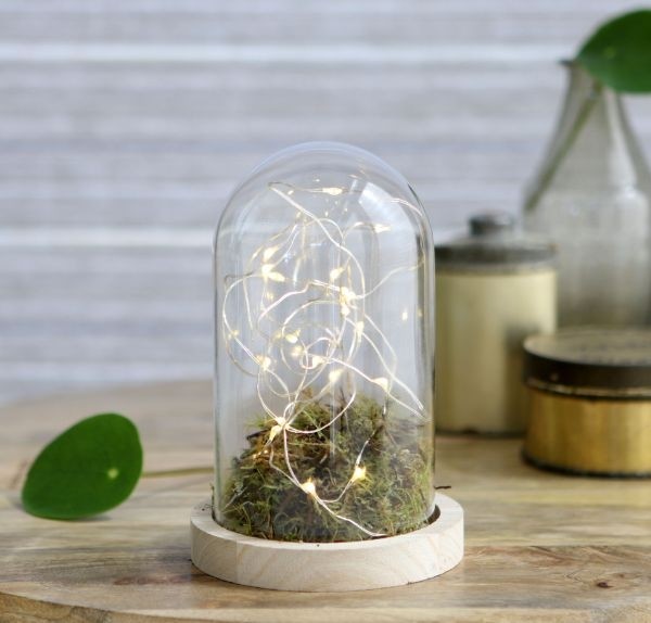 Dôme en verre avec base en Bois,100x150mm - 1 pc