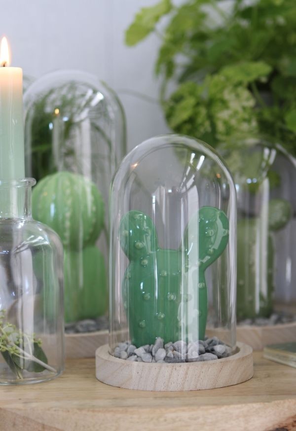 Dôme en verre avec base en Bois,100x150mm - 1 pc