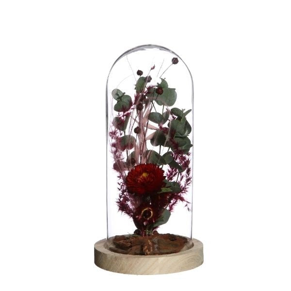 Dôme en verre avec base en Bois,100x200mm - 1 pc