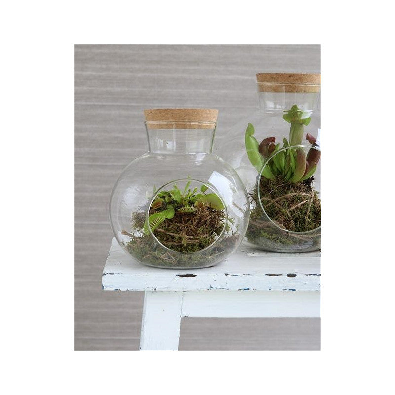Sphère en verre avec bouchon en liège Ø 14 cm, H. 15 cm - 1 pièce