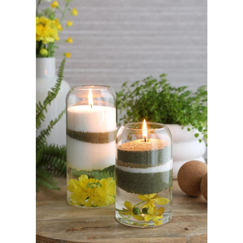 Terrarium en verre Sienna Ø 8,5 cm, H. 19 cm - 6 pièces