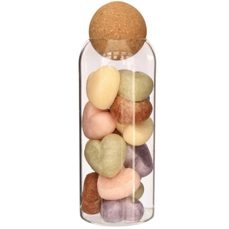 Terrarium en verre Sienna Ø 8,5 cm, H. 24 cm - 6 pièces
