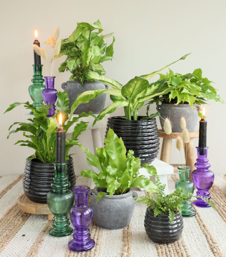 Vase Venice Vert H: 155 x Ø57 mm - 12 Pcs