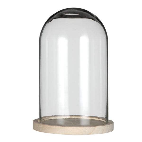 Glass Dome with Wooden Base 170x250mm