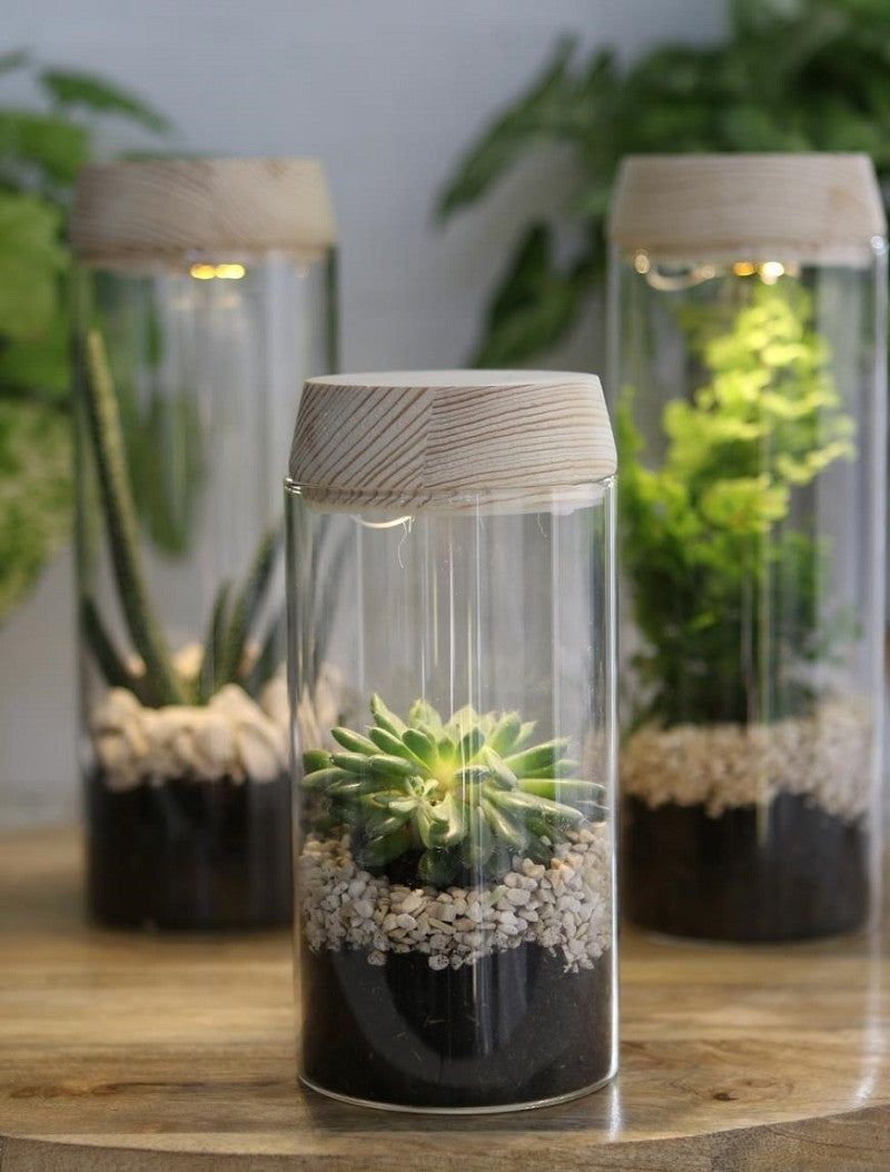 Tube à essai Ø80 h: 180 mm w. couvercle en liège solaired - 1 pc