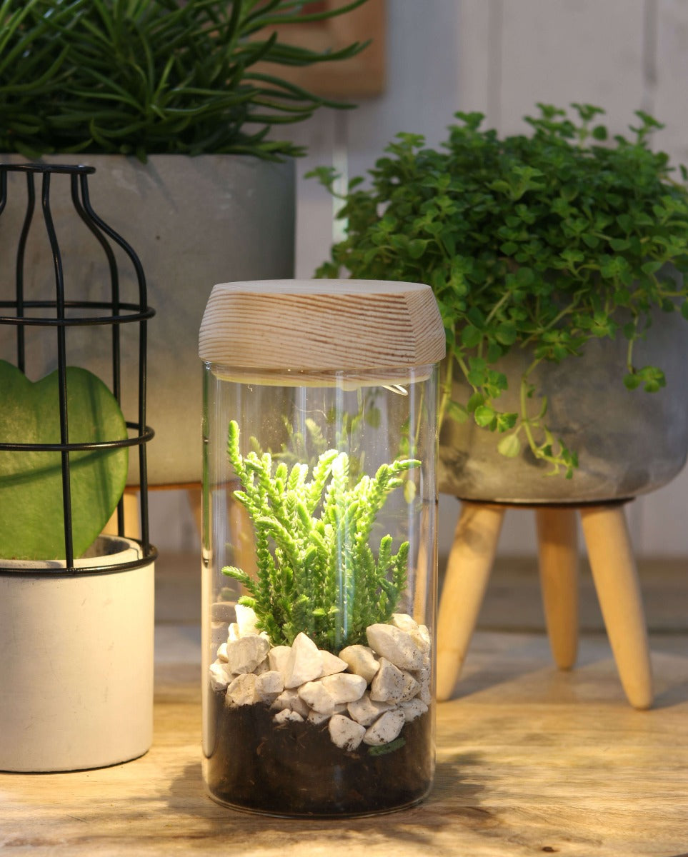 Cylindre en verre avec LED dans un couvercle en bois 18 cm de haut - 1 pièce
