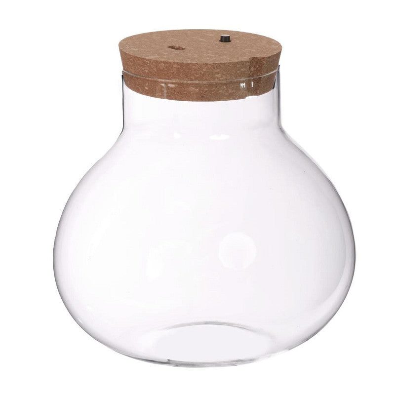 Terrarium avec bouchon en liège, batterie et prise USB-C Ø 20,5 cm, H. 20 cm - 1 pièce