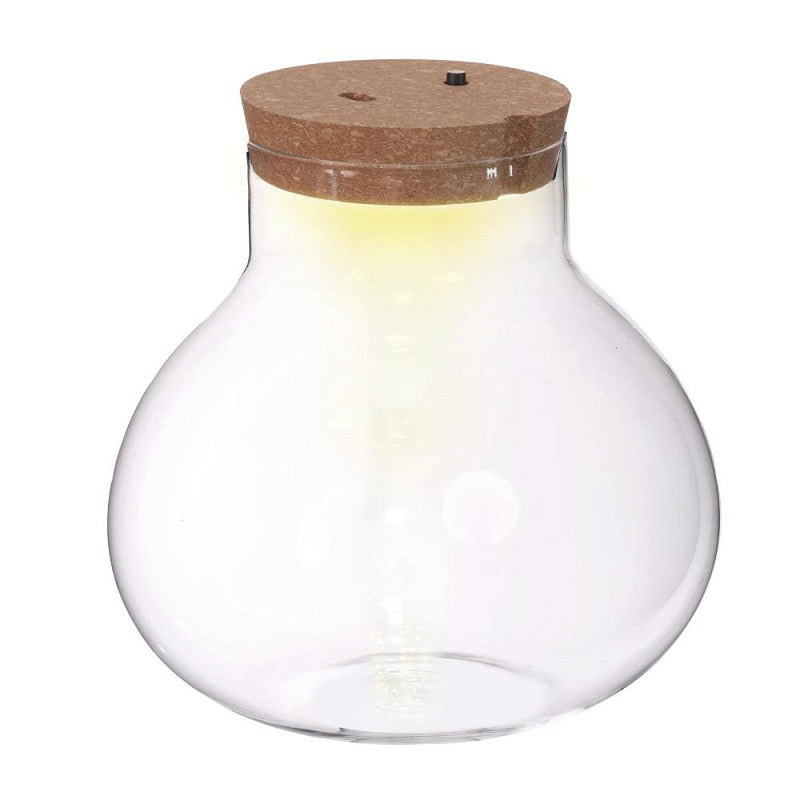 Terrarium avec bouchon en liège, batterie et prise USB-C Ø 20,5 cm, H. 20 cm - 1 pièce