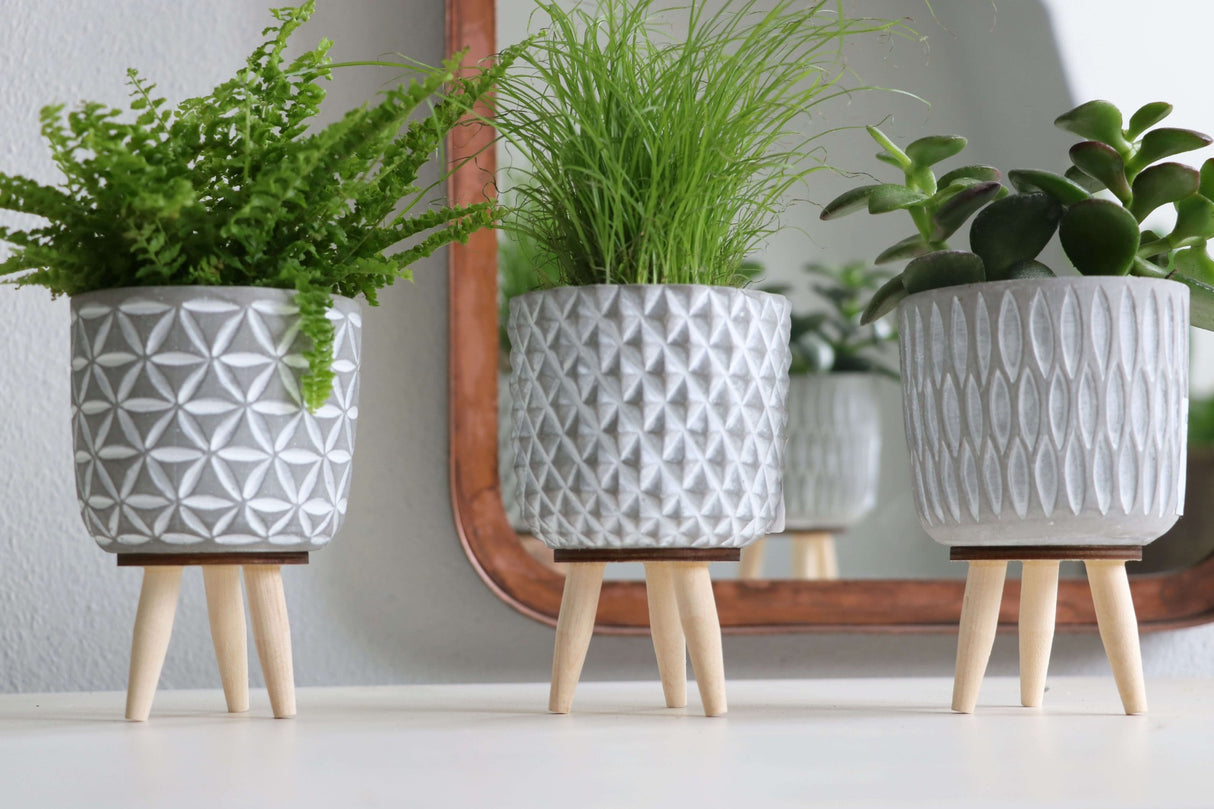 Plant pot Cement with wooden legs 11cm high - Packlinq