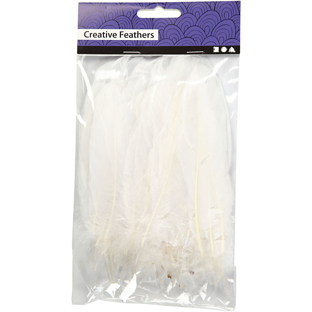 Plumes, blanc, 70 pièce/ 1 sac
