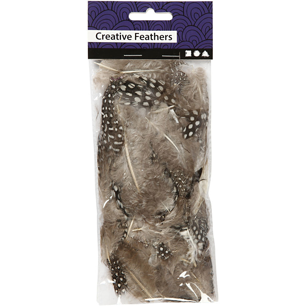 Plumes de pintade, brun, 3 gr/ 1 Pq.