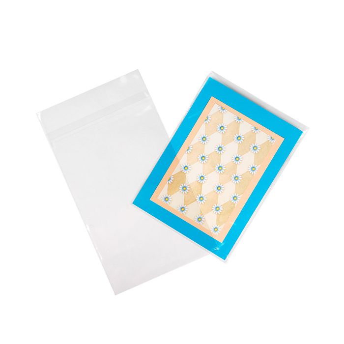 Sachet écologique 15.2x24.1 cm à rabat sécurisé - 100 pièces