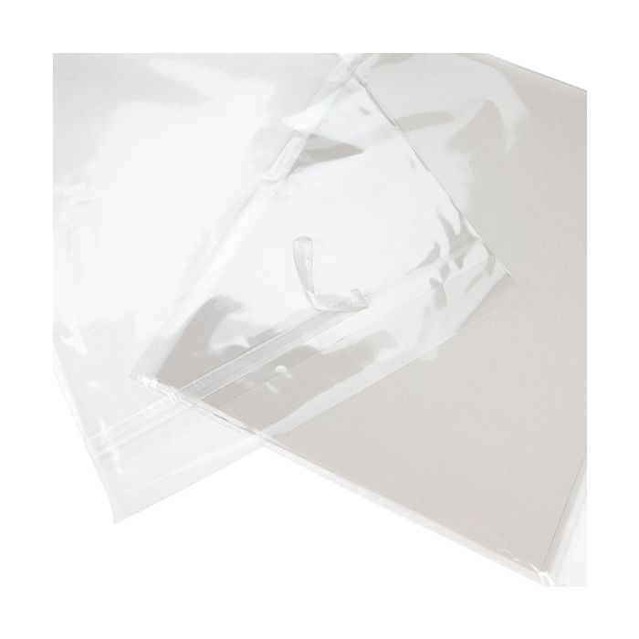 Sachet écologique 24x31.1 cm à rabat sécurisé - 100 pièces