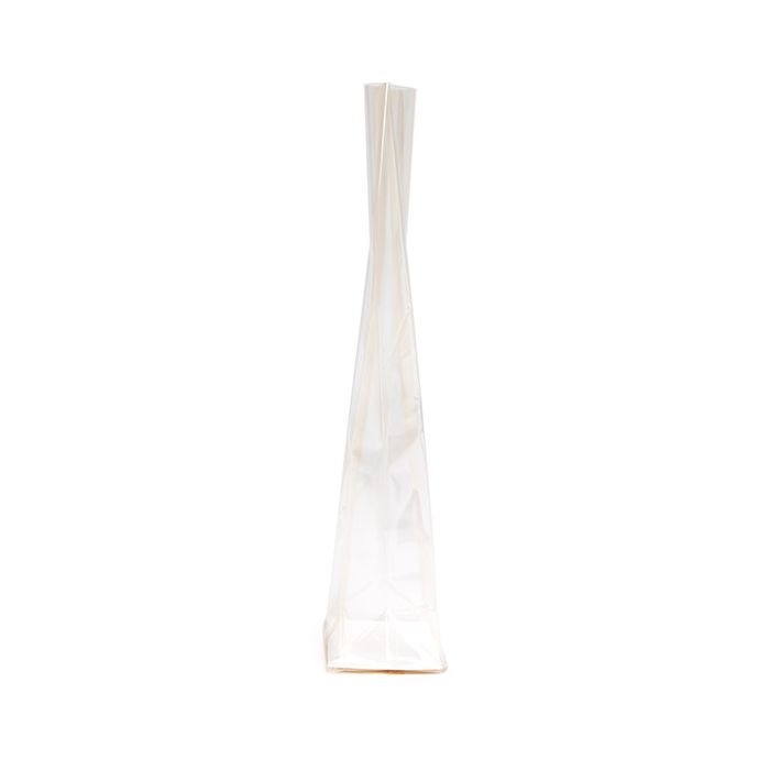 Sachet à soufflet à fond plat compostable à domicile 70x51x254 mm avec insert en papier - 100 pièces