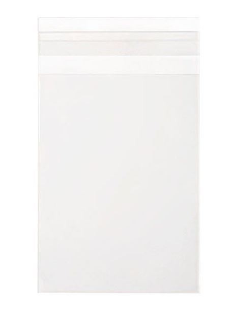 Eco Friendly Bags Bioplastic 108x156mm
