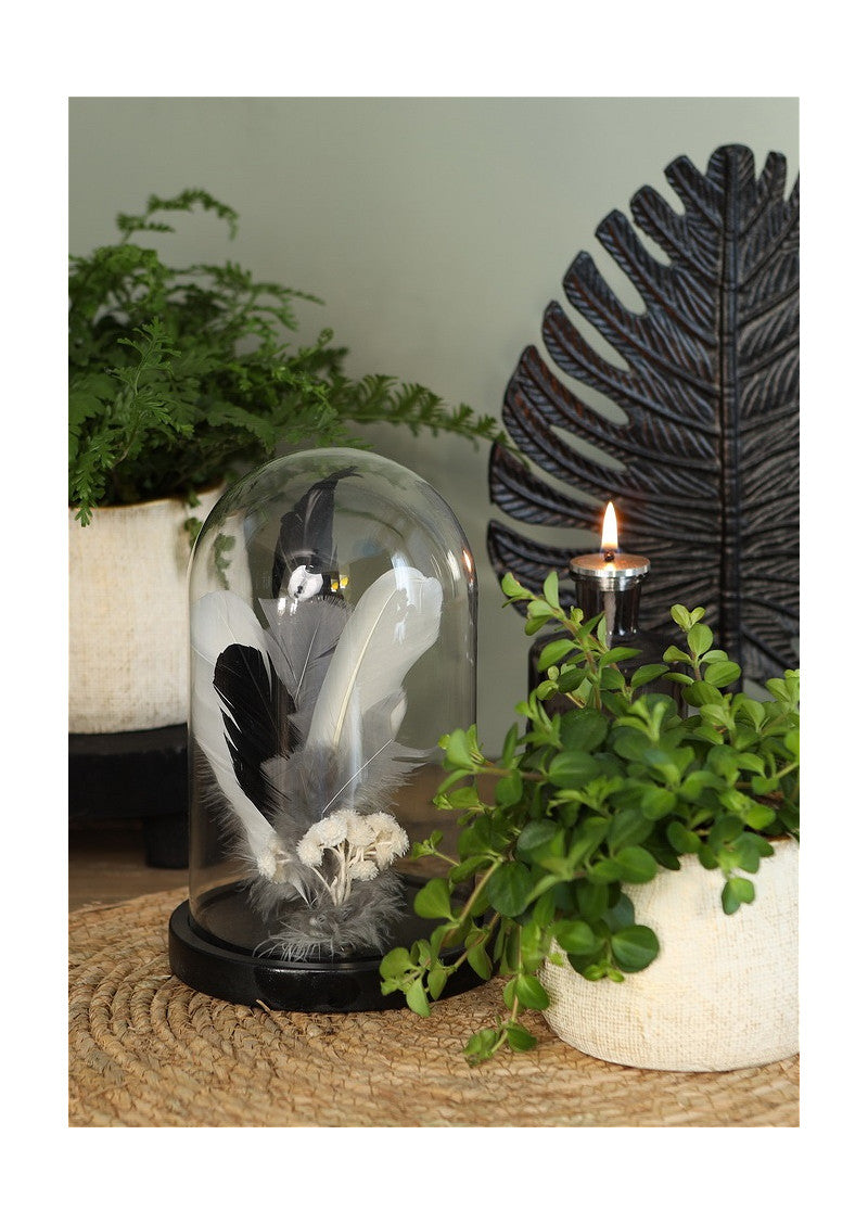 Cloche en verre avec socle en bois noir Ø14cm H.21cm - 1 pièce