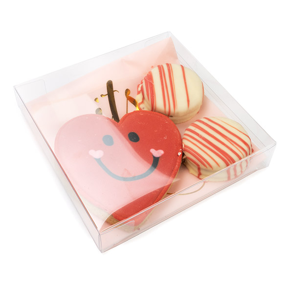 rPET Boîte Cristal Transparente 13x2,5x12,9cm - 25 pcs
