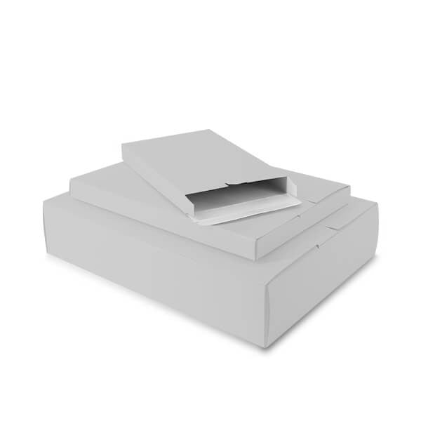 Carton pour Colis 160x250x29 mm Argenté - 100 pcs