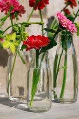 Bouteille de lait en verre, 250mL 140x60mm - 24 pcs