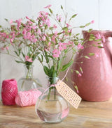 Cloche en verre, 100x80mm - 24 pcs