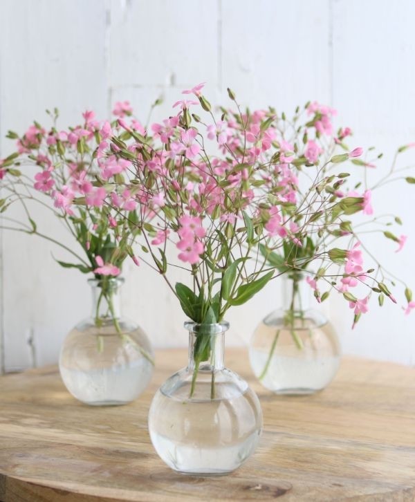 Cloche en verre, 100x80mm - 24 pcs