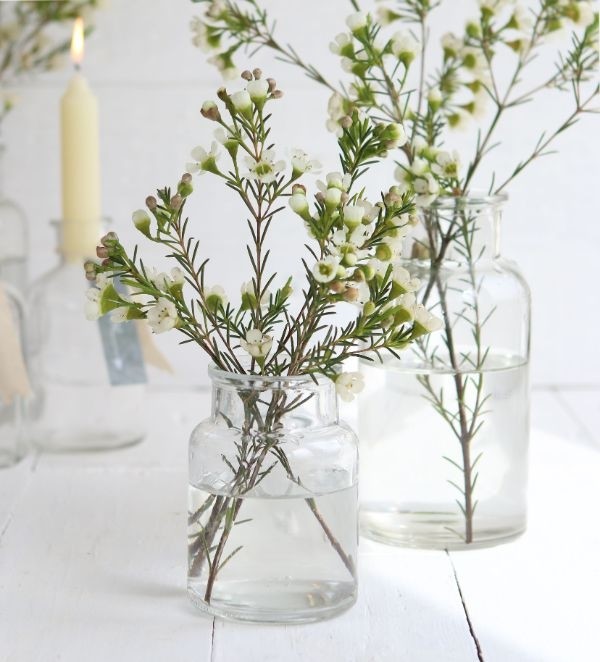 Flacon de médicaments en verre,100x70mm - 24 pcs