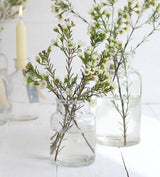 Flacon de médicaments en verre,100x70mm - 24 pcs