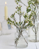 Flacon de médicaments en verre,100x70mm - 24 pcs