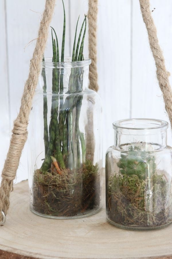 Flacon de médicaments en verre,160x80mm - 12 pcs