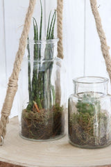 Flacon de médicaments en verre,160x80mm - 12 pcs