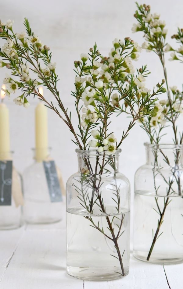 Flacon de médicaments en verre,160x80mm - 12 pcs