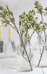 Flacon de médicaments en verre,160x80mm - 12 pcs