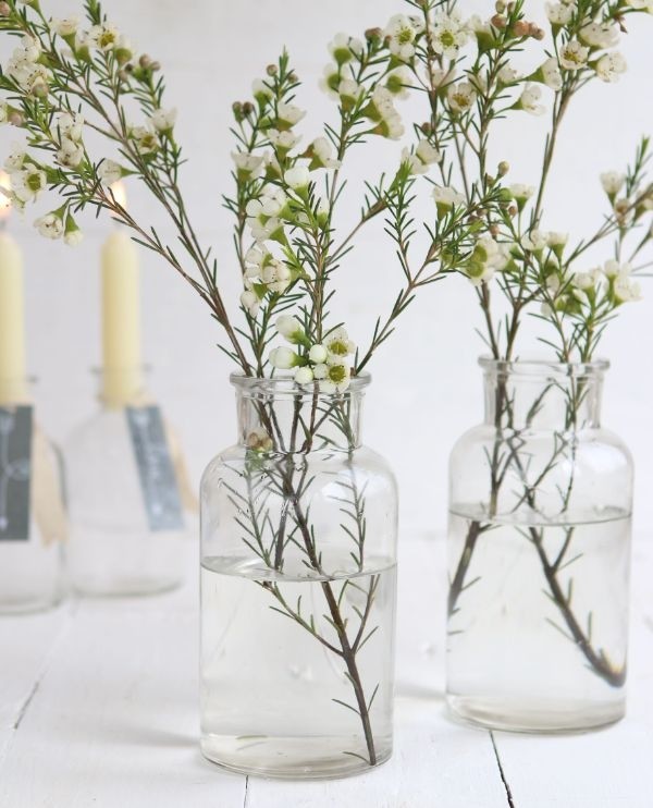 Flacon de médicaments en verre,160x80mm - 12 pcs