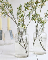 Flacon de médicaments en verre,160x80mm - 12 pcs