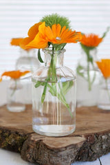 Bouteilles en verre Ø70 h: 120 mm  Transparent - 20 Pcs