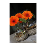 Vase boule Ø 6,6 cm x 16 cm - 27 pièces